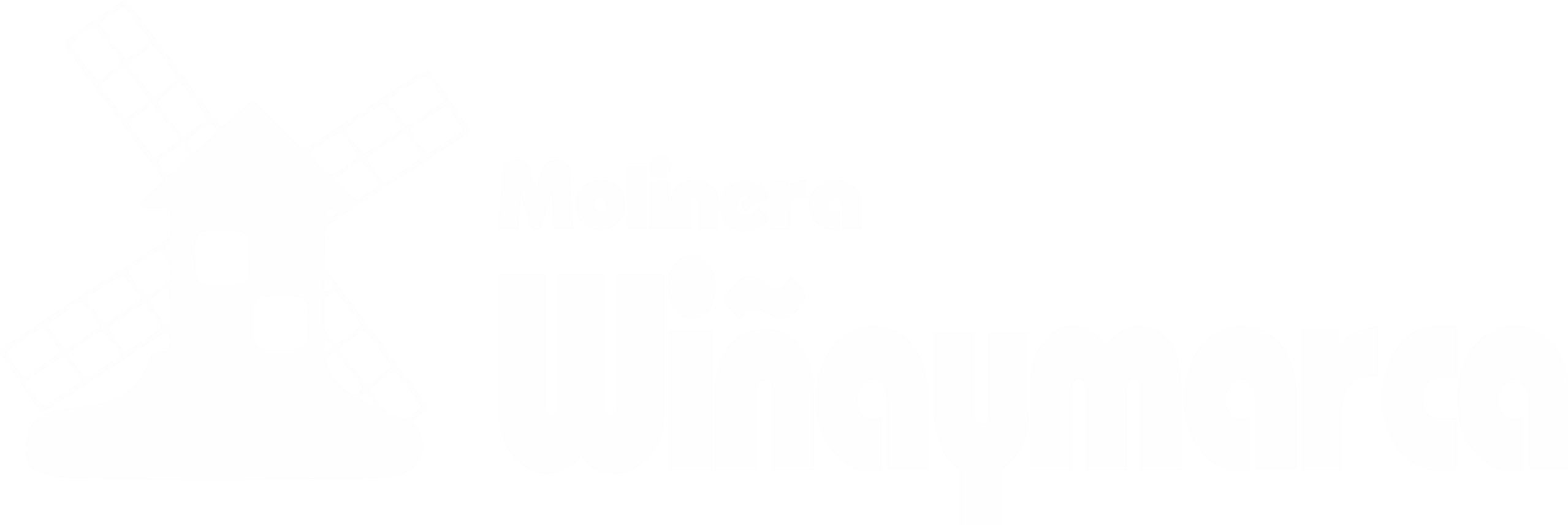 Logo Winay